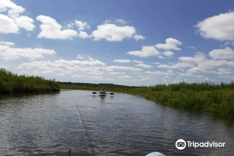 River Guide Kayaks