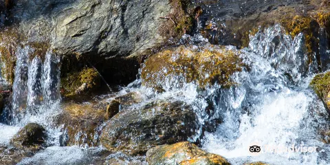 Equinox Preservation Trust