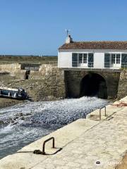 Moulin a Marée