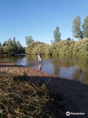 Playa del Alberche