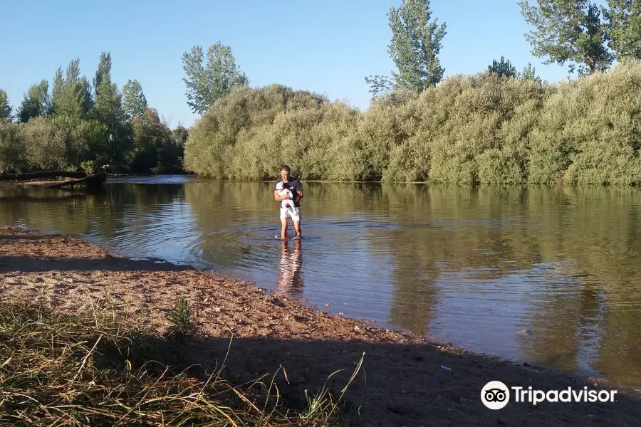 Playa del Alberche