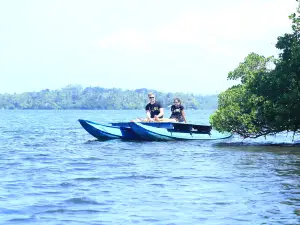 Hikkaduwa Lagoon Safari and Adventure kayaking