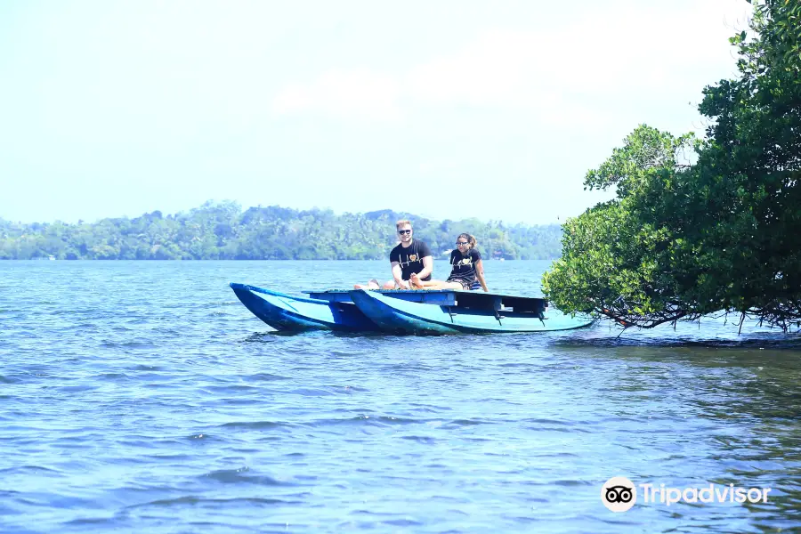 Hikkaduwa Lagoon Safari and Adventure kayaking