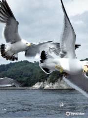 Miyako Jodogahama Boat Cruise