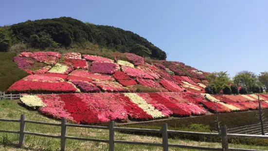 不老山総合公園