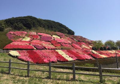 不老山総合公園