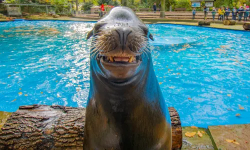 zoo di Dortmund