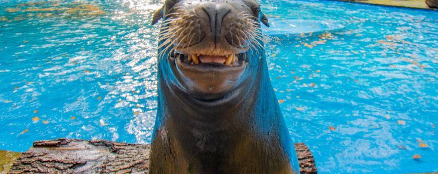 Zoo Dortmund