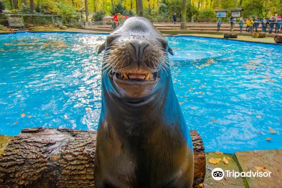 Zoo Dortmund