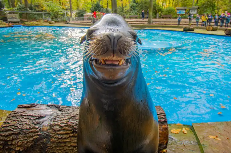 Hotels in der Nähe von Zoo Dortmund