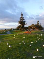 Maclean Park Playground