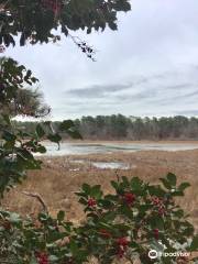 Mass Audubon's Ashumet Holly Wildlife Sanctuary