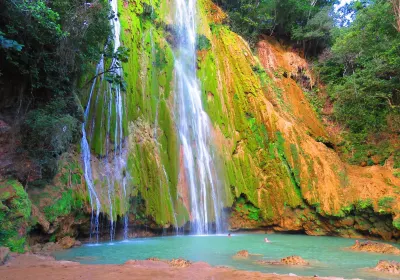 El Limón
