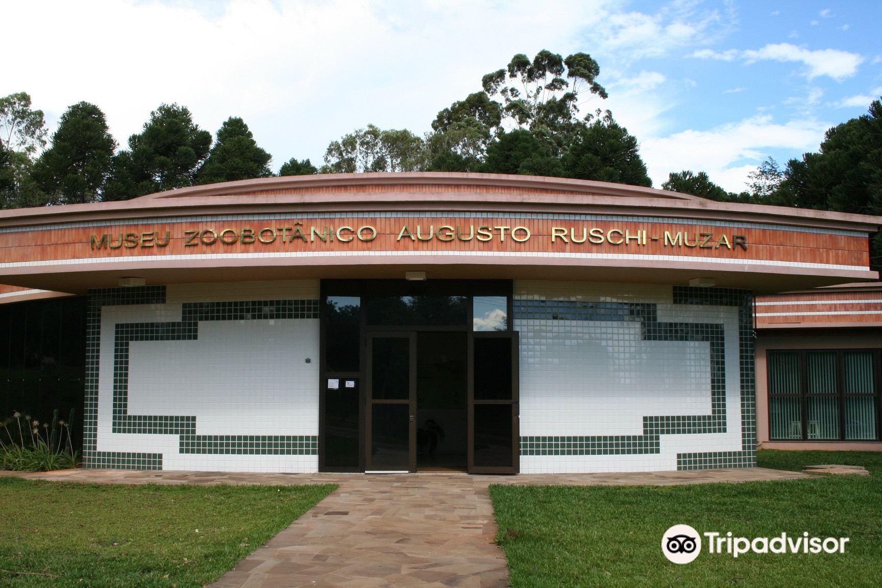 Pizza - Picture of Don Gentil, Passo Fundo - Tripadvisor