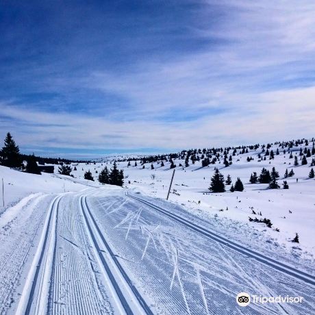 Nordseter