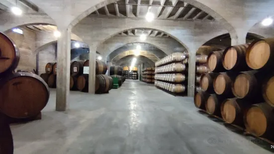 Bodegas San Isidro - B.S.I