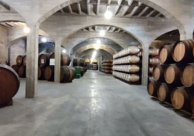 Bodegas San Isidro - B.S.I