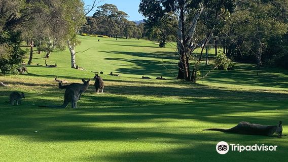 Pambula Merimbula Golf Club