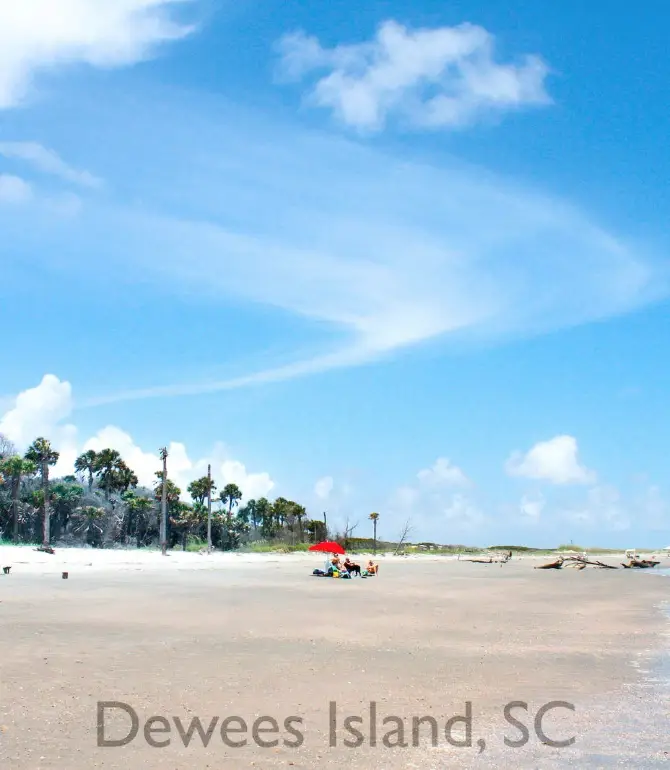 Dewees Island