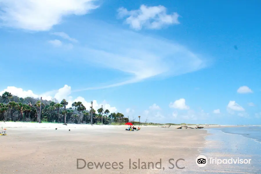 Dewees Island