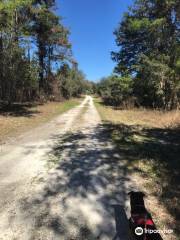 Lake Panasoffkee Wildlife Management Area