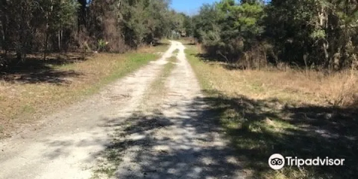 Lake Panasoffkee WMA