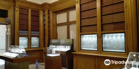 Hutten-Czapski Museum