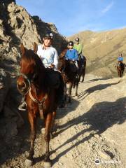 Peel Forest Horse Trekking