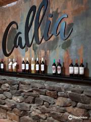 Bodegas Callia