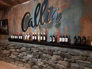 Bodegas Callia