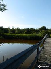 Mass Audubon's Daniel Webster Wildlife Sanctuary