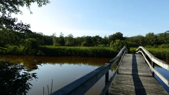 Mass Audubon's Daniel Webster Wildlife Sanctuary