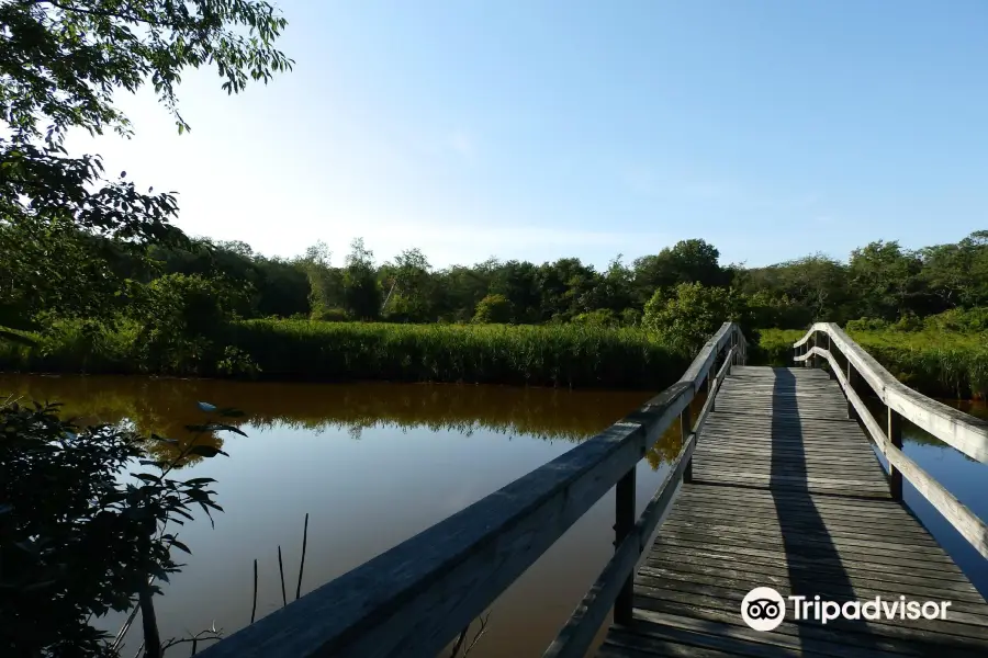 Mass Audubon's Daniel Webster Wildlife Sanctuary