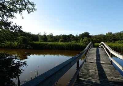 Mass Audubon's Daniel Webster Wildlife Sanctuary