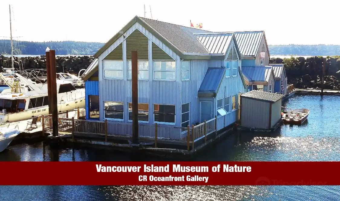 Hotels near Vancouver Island Museum of Nature