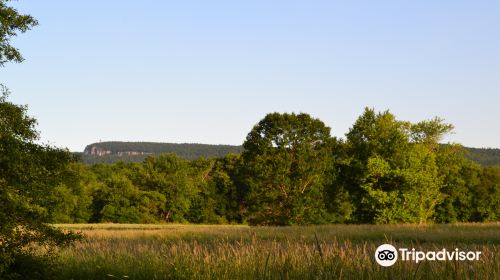 Nyquist-Harcourt Wildlife Sanctuary