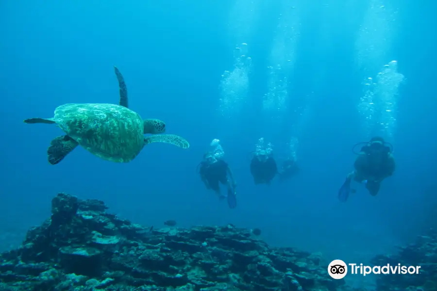 Pacific Divers