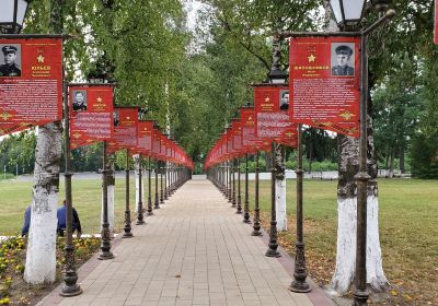 Пригородный район