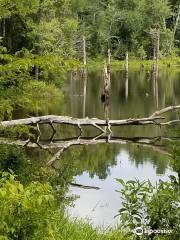 Boyd Pond Park