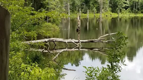 Boyd Pond Park