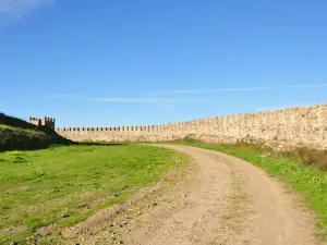 Castle of Arraiolos