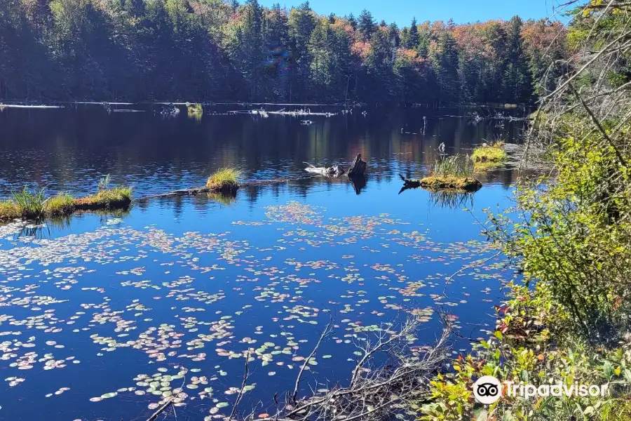 Woodford State Park