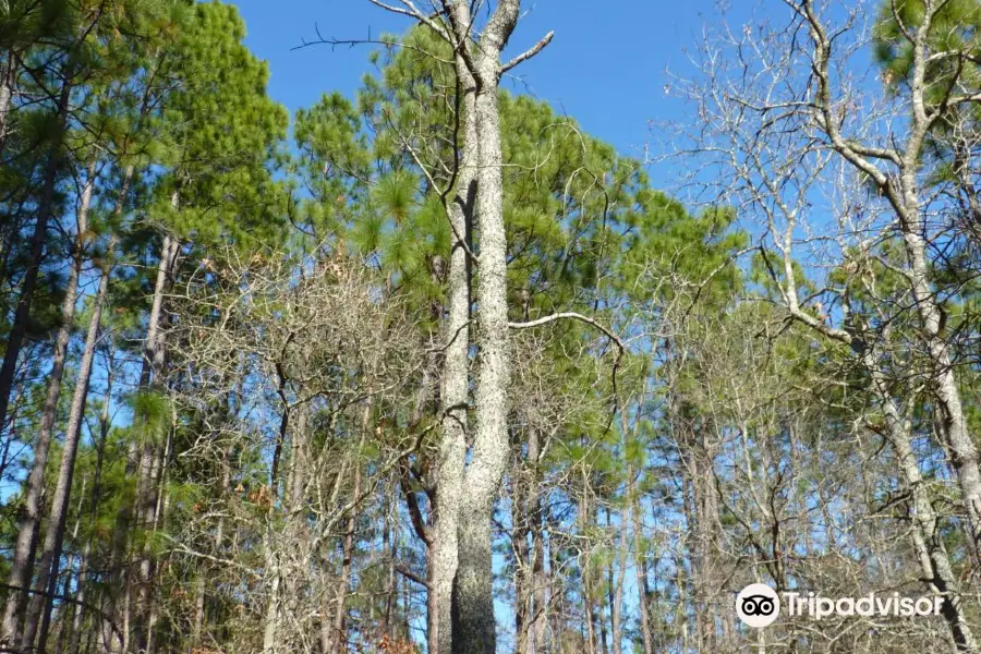 Peachtree Rock Heritage Preserve