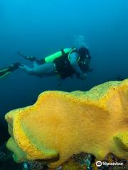 Pintarroja Dive Center