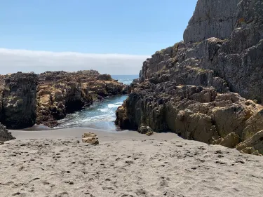 Pelluhue