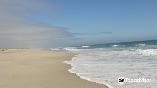 Nauset Beach