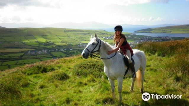 Dingle Horse Riding
