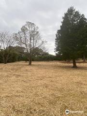 Chiran Castle Ruins