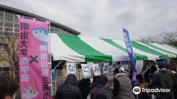 Shiokaze Arena