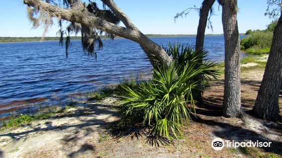레이크 매너티 주립공원